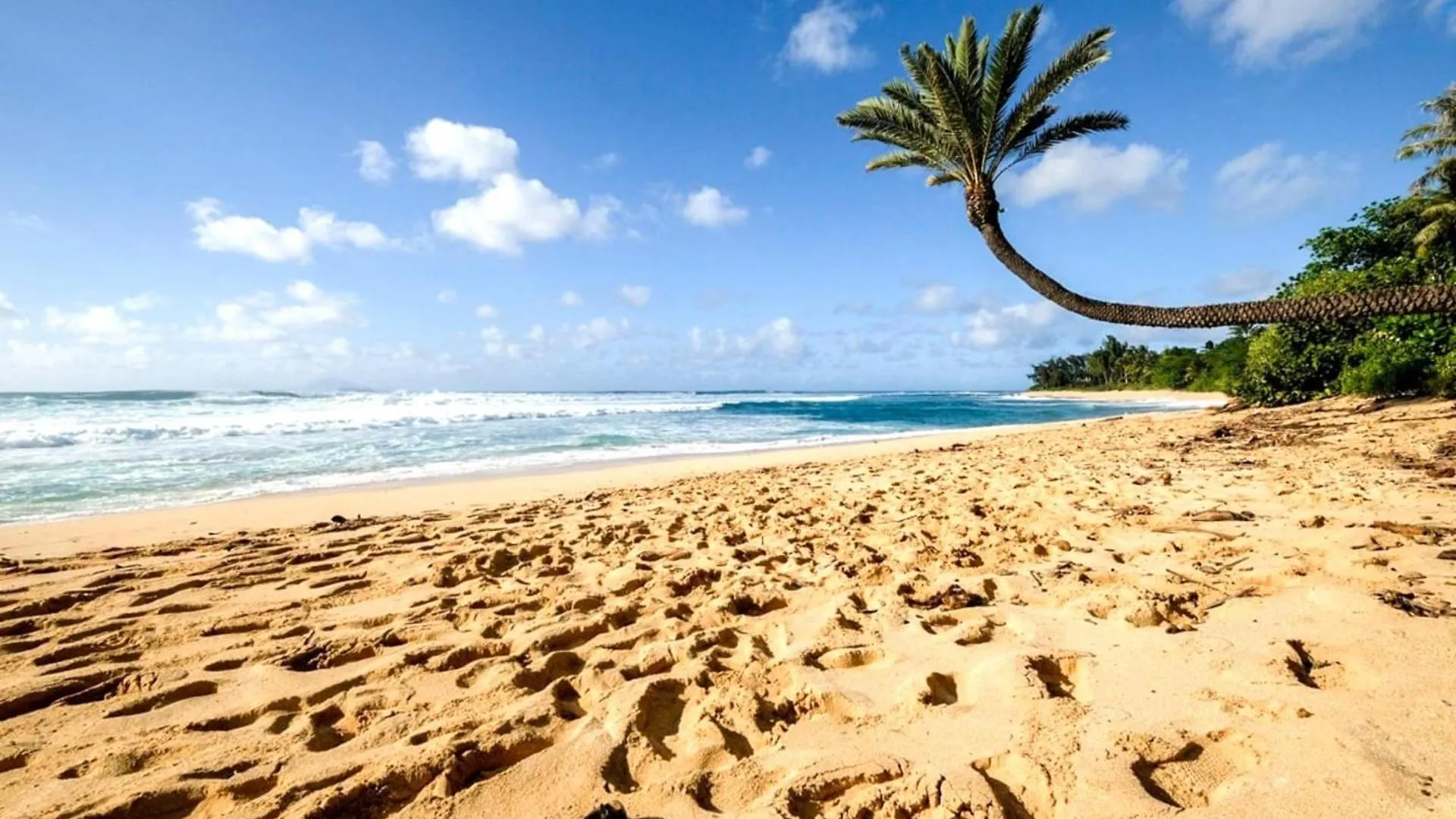 Kbm Resorts Free Car Beach Villas At Ko Olina Bvk-B-308 Beachfront Villa Kapolei